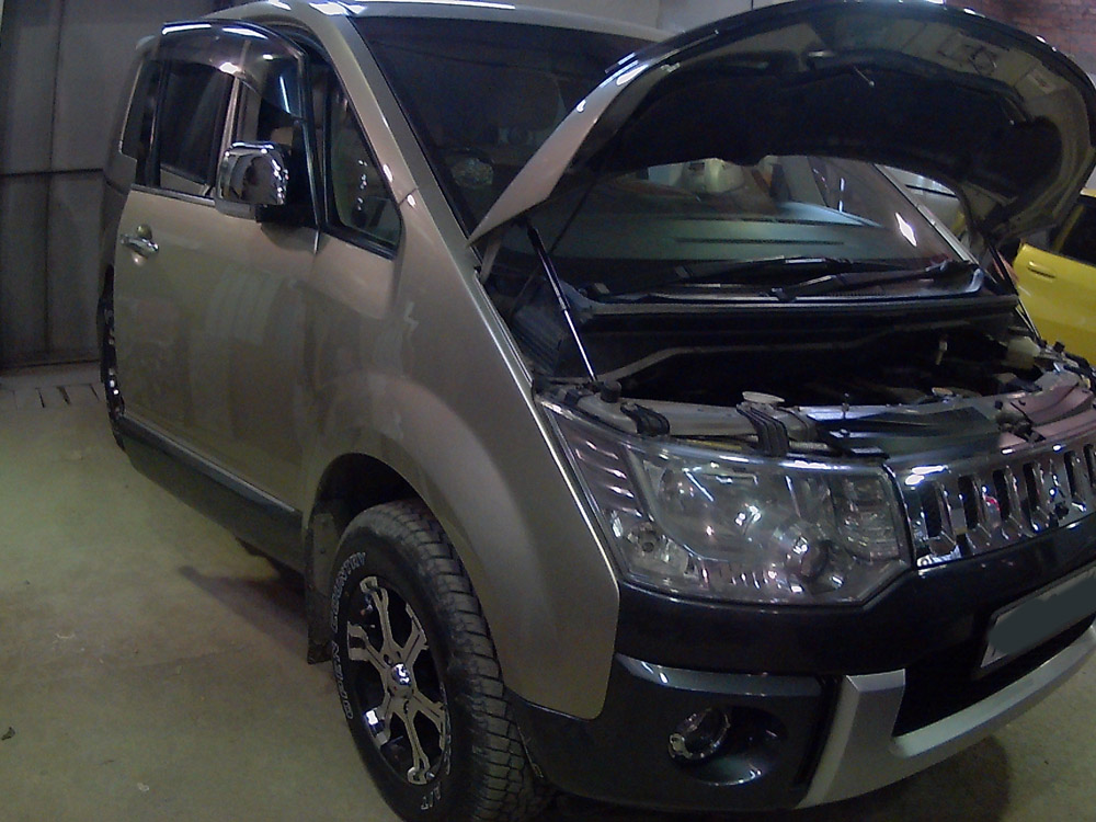 Delica D5 — чиптюнинг + отключение EGR и катализатора